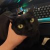 建筑猎头顾问杨杰个人信息_三幸网