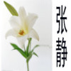 建筑猎头顾问张女士个人信息_三幸网