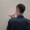 建筑猎头顾问张志文个人信息_三幸网
