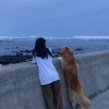 建筑猎头顾问陈杰个人信息_三幸网