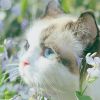建筑猎头顾问陈悦个人信息_三幸网