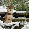 建筑猎头顾问陈经理个人信息_三幸网