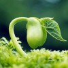建筑猎头顾问黄工个人信息_三幸网