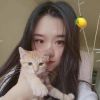 建筑猎头顾问顾浩个人信息_三幸网