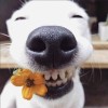 建筑猎头顾问小陈个人信息_三幸网