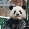 建筑猎头顾问赵静个人信息_三幸网