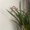 建筑猎头顾问季节个人信息_三幸网