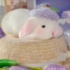 建筑猎头顾问李先生个人信息_三幸网