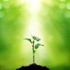 网友昵称：zblog博客模板