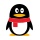 Web Favicon