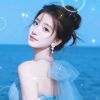 北京网友92088
