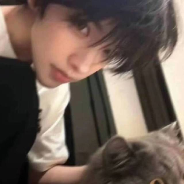 QQ邮箱头像