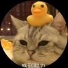 xmdmhw的头像-无忧免费游戏网