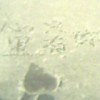 广东网友99693