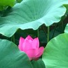 天津网友15796