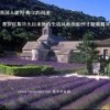湖南网友61818