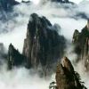 河南网友96374