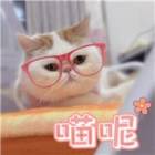 QQ头像