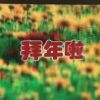 河南网友44731