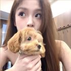 QQ头像