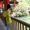 山东网友86553