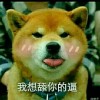 甘肃网友79507