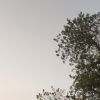 山东网友84030