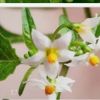 江苏网友16882