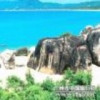 甘肃网友51201