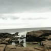 浙江网友24929