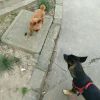 天津网友92077