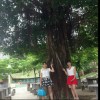 上海网友11098