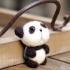 辽宁网友90211