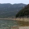 四川网友59420