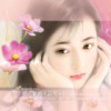 青海网友95789