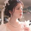 上海网友27774