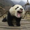 网友昵称：得到