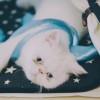 澳门网友94827