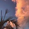 浙江网友21240