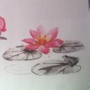 宁夏网友74247