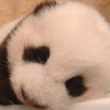 评论头像