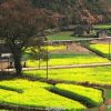 山西网友17413