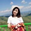 青海网友15155