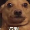 西藏网友70467