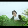 陕西网友26258