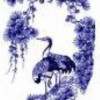 内蒙古网友72682