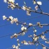 甘肃网友10516
