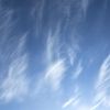 四川网友60685