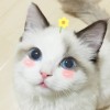 陕西网友30713
