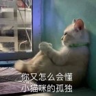 QQ头像